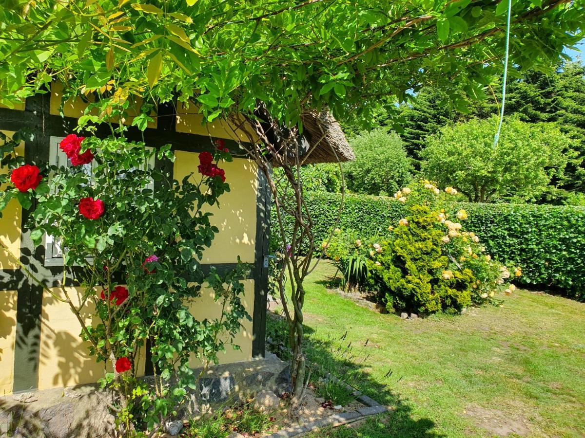 Zara'S B&B Horsens Exteriör bild